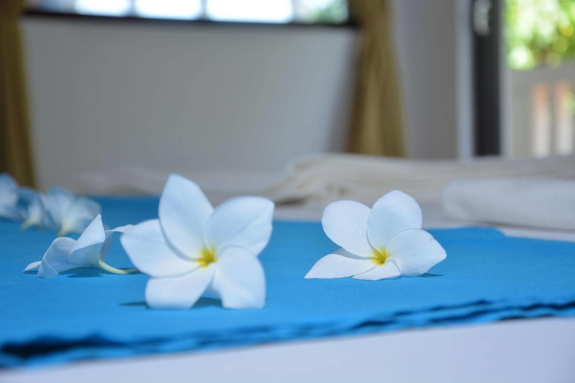 Blue Sky Beach Resort Unawatuna Eksteriør bilde